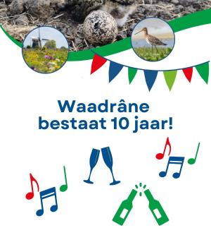 Feestavond voor deelnemers en vrijwilligers