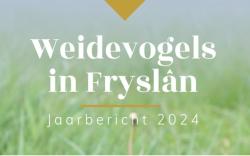 Laag broedsucces van weidevogels in 2024